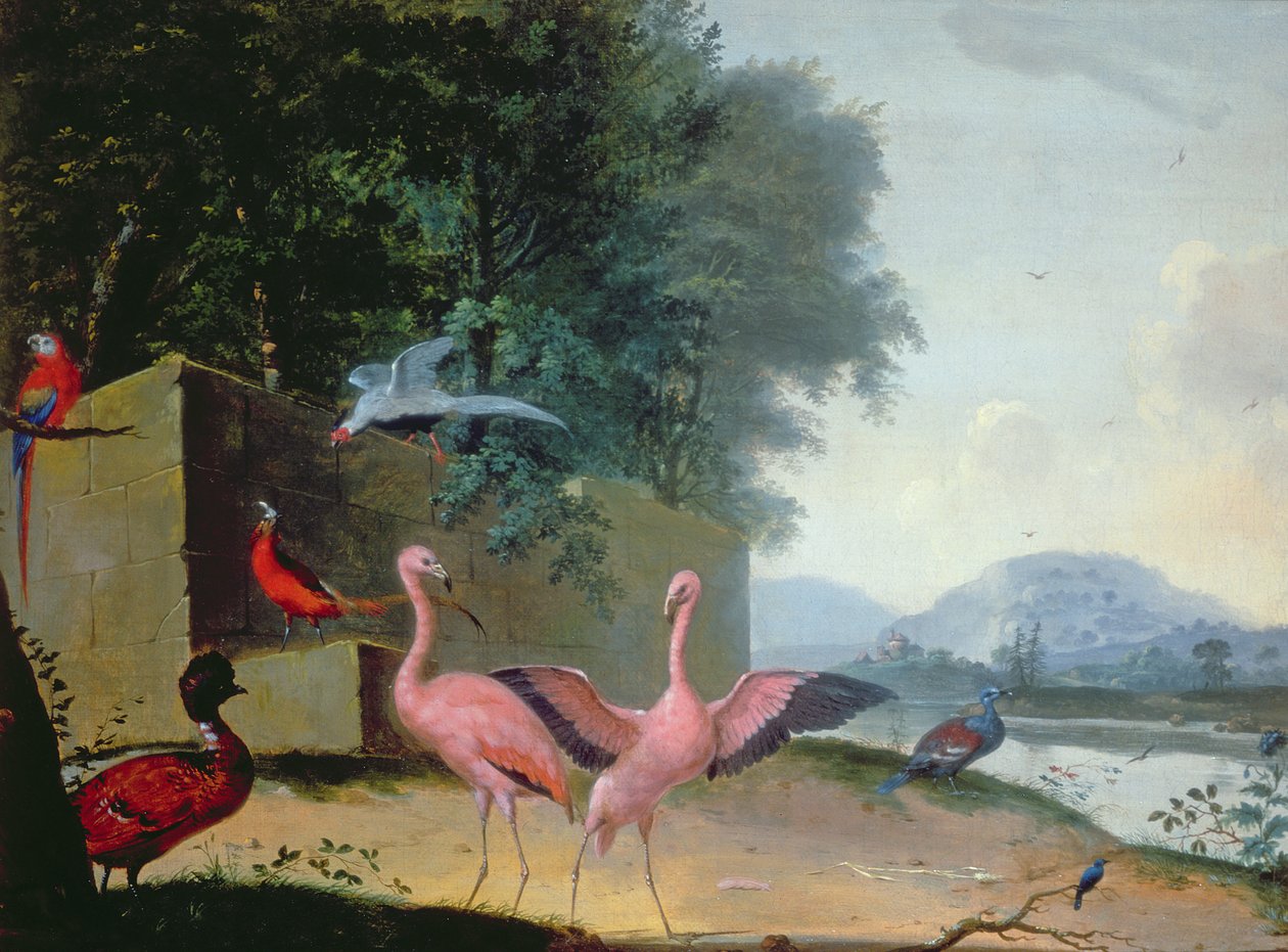 En samling exotiska fåglar, inklusive flamingos, papegojor och en Lady Amherst-fasan. av Gerrit van Honthorst