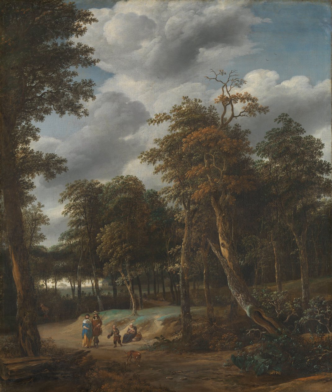 Forest Road av Jan Looten