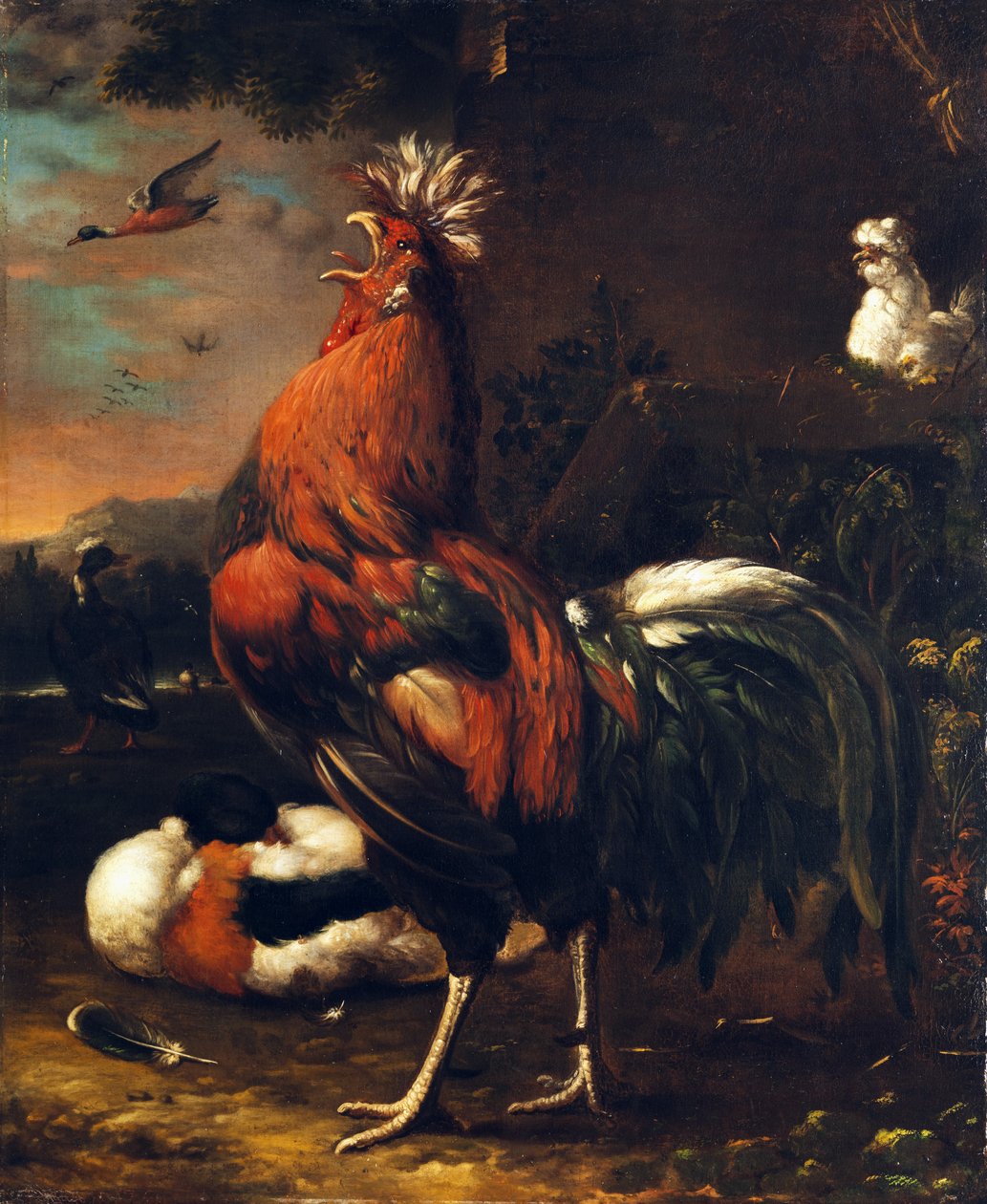 Proud rooster av Jan van Oolen