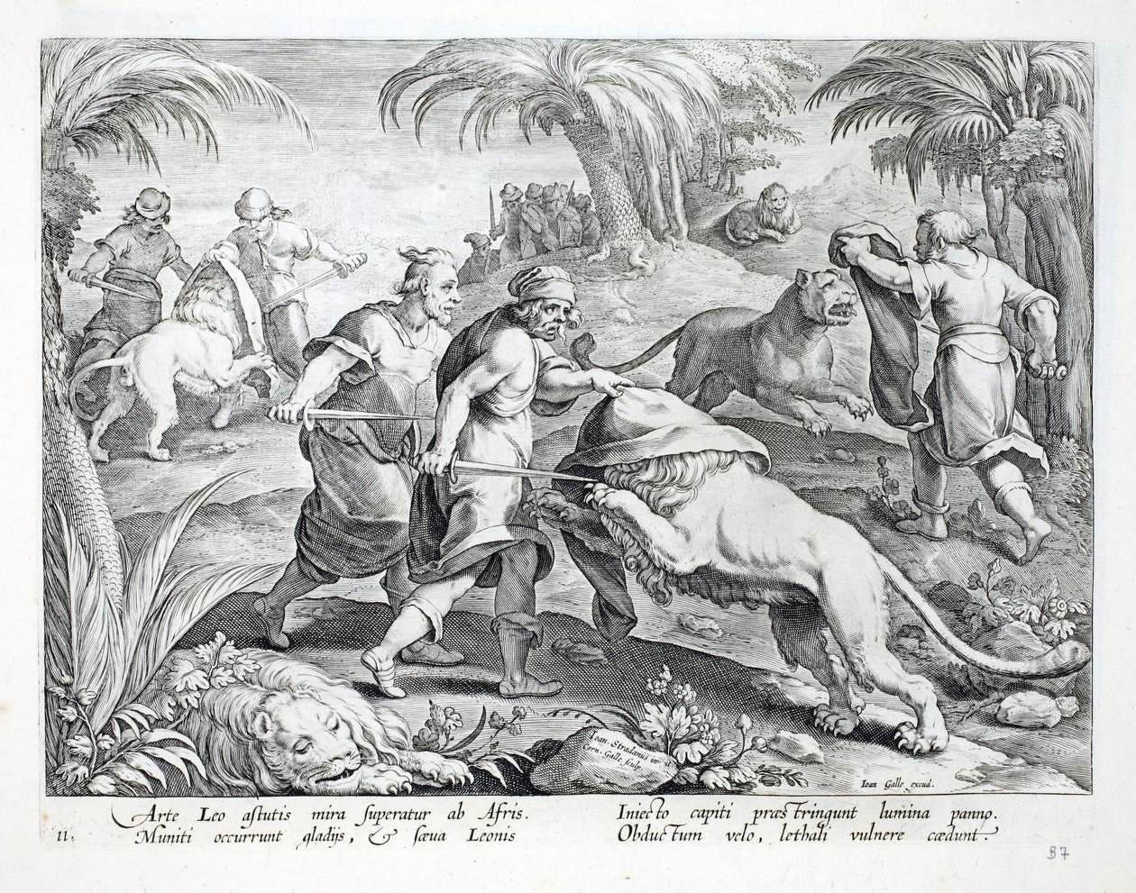 Afrikaner jagar lejon genom att täcka sina huvuden och sedan genomborra dem med ett dödligt sår, illustration från 