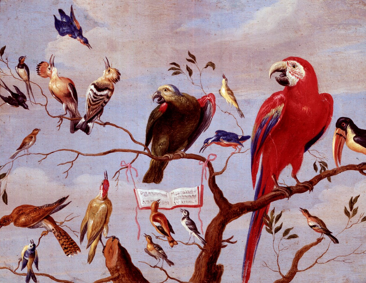 A Chorus of Birds, ca 1650-1675 (olja på metall) av Jan van Kessel the Elder