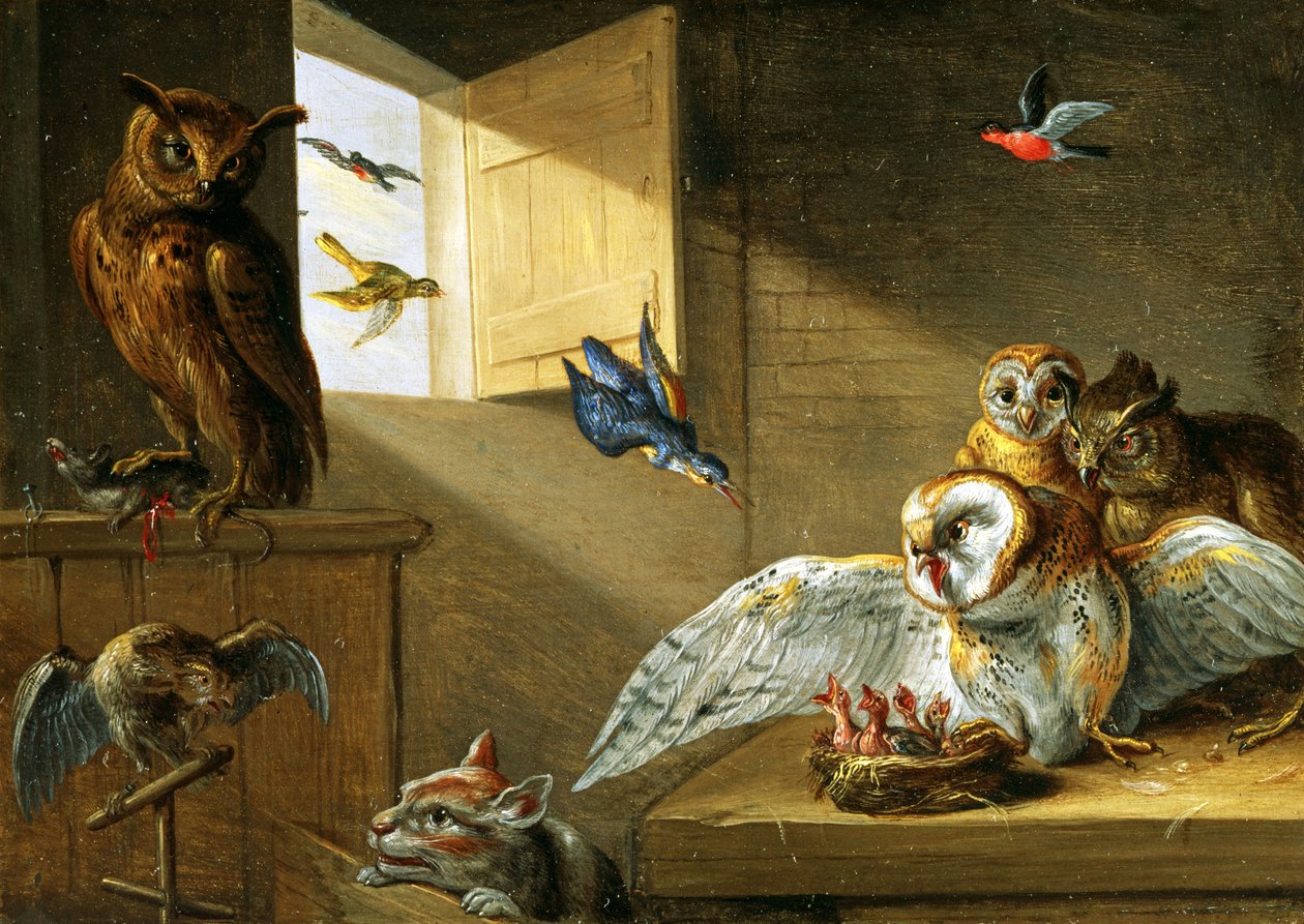 En familj av ugglor, andra fåglar och en katt (olja på koppar) av Jan van Kessel the Elder