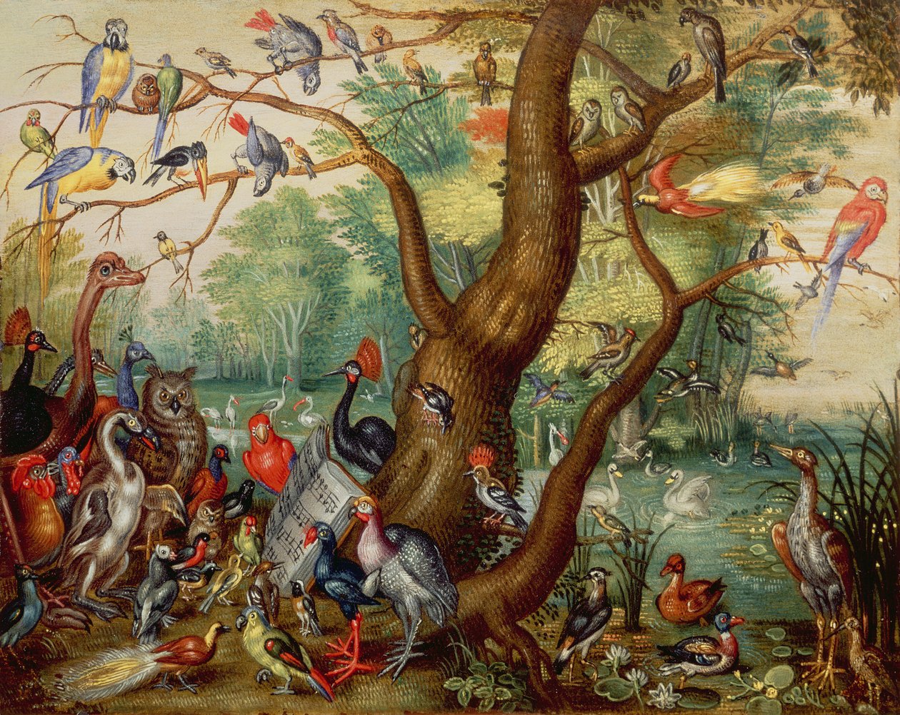 Concert of Birds (olja på koppar) av Jan van Kessel the Elder