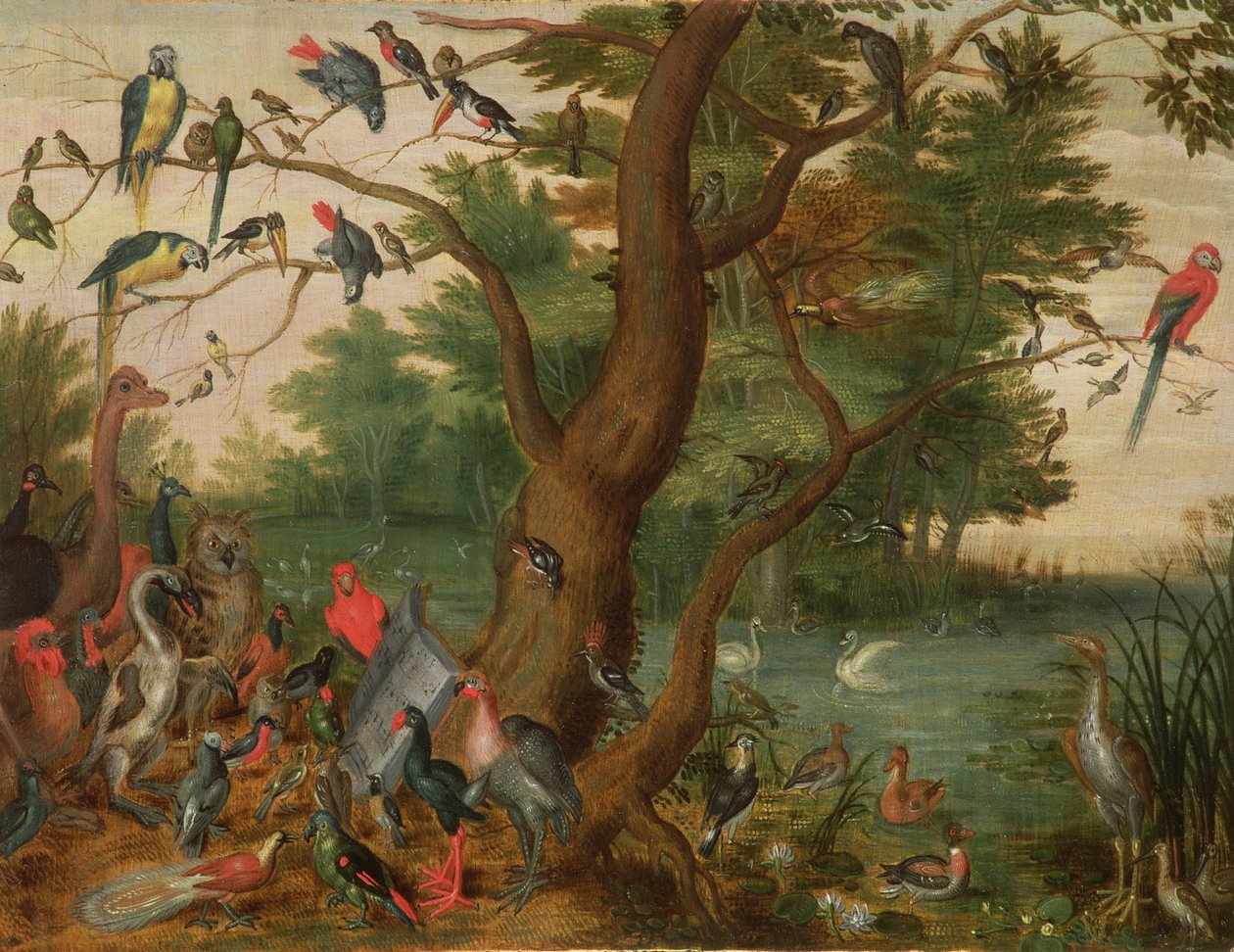 Concert of Birds (panel) av Jan van Kessel the Elder
