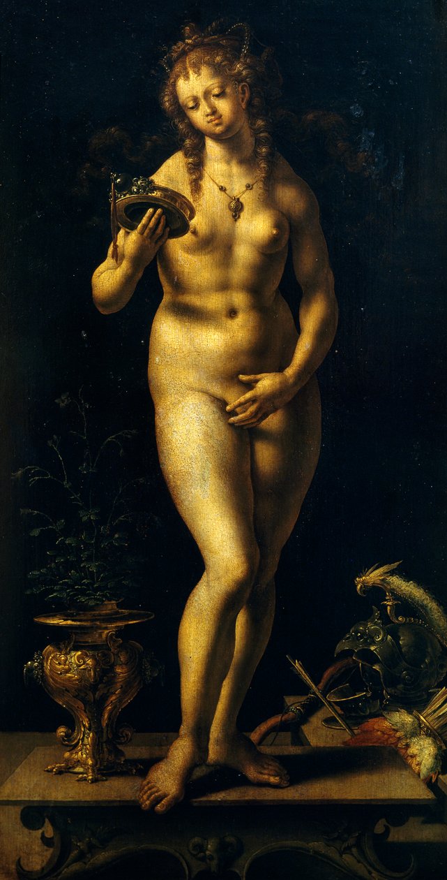 Venus (olja på panel) av Jan (c.1472 c.1533) Gossaert