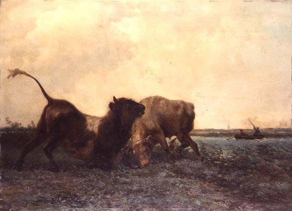 Tjurfäktning av Jan Bedys Tom