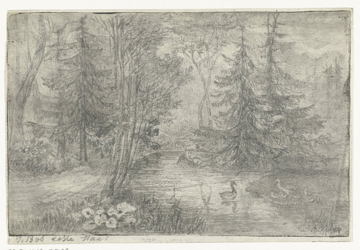 Skogsdamm med ankor av Jan Bos Wz. (signed by artist)