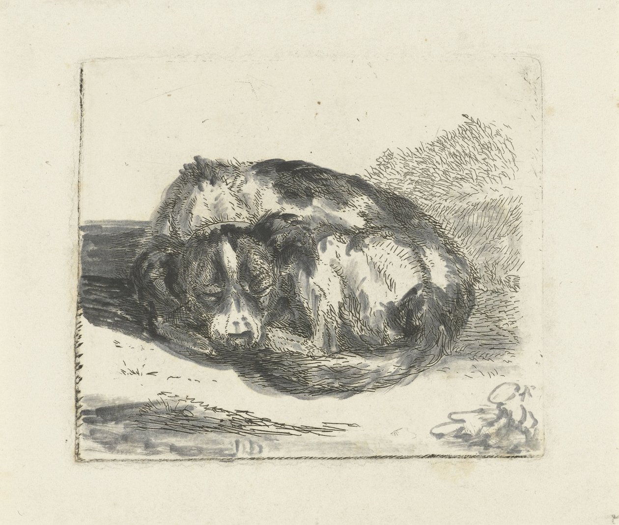 sovande hund av Jan Dasveldt