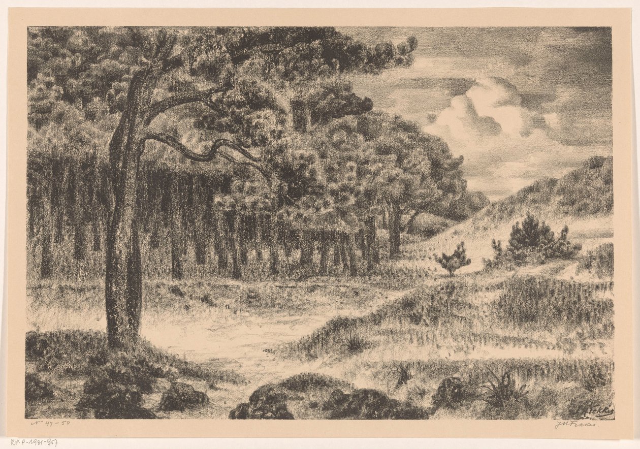 Skog i ett kuperat landskap av Jan Fekkes (signed by artist)