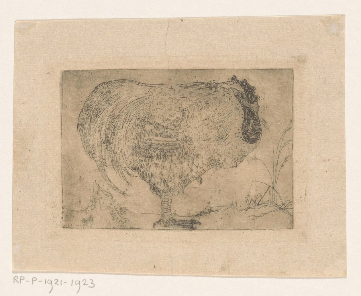 hukande kuk av Jan Mankes