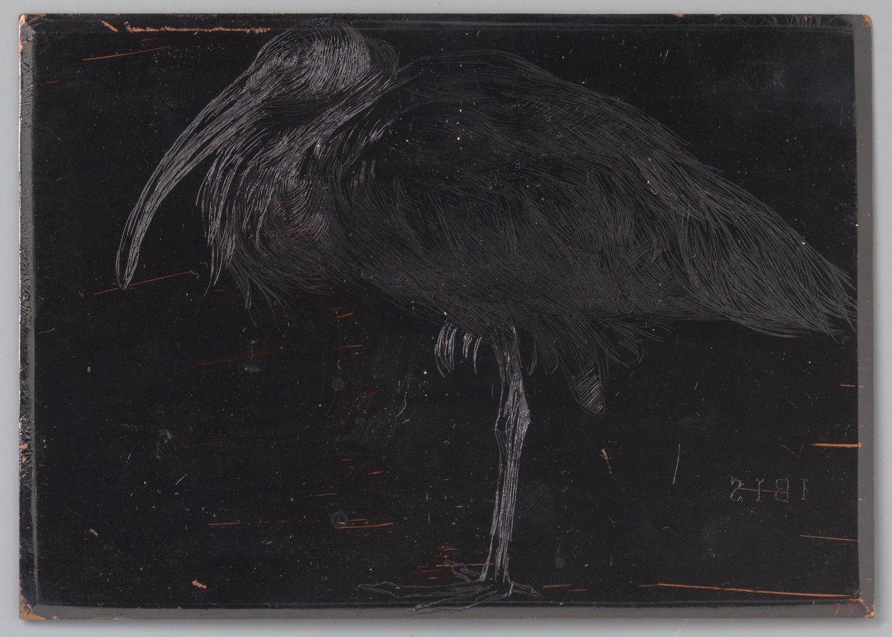 Ibis (originaltitel på objekt) av Jan Veth