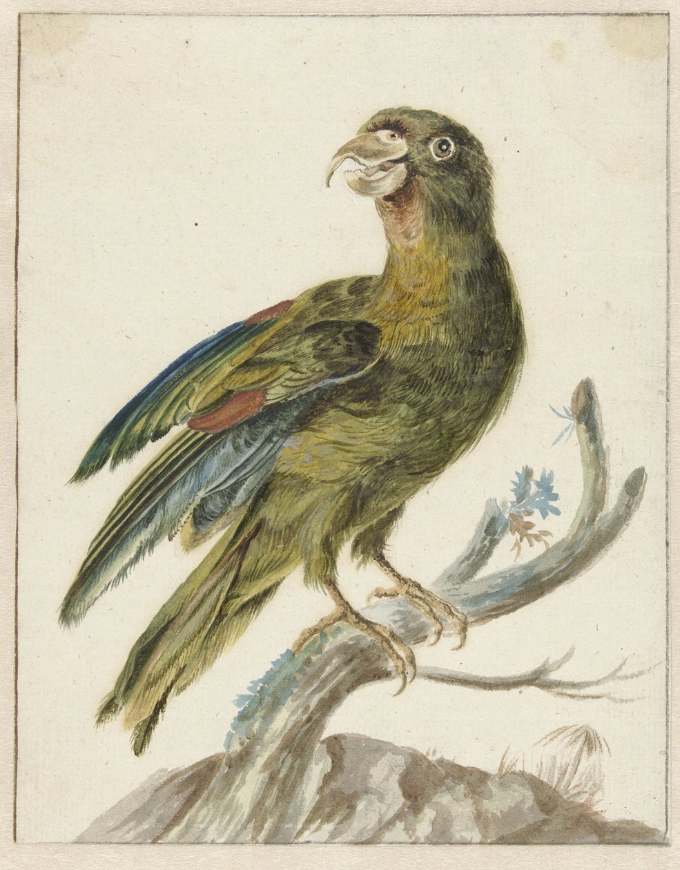 Parakit av Jan Baptist Weenix