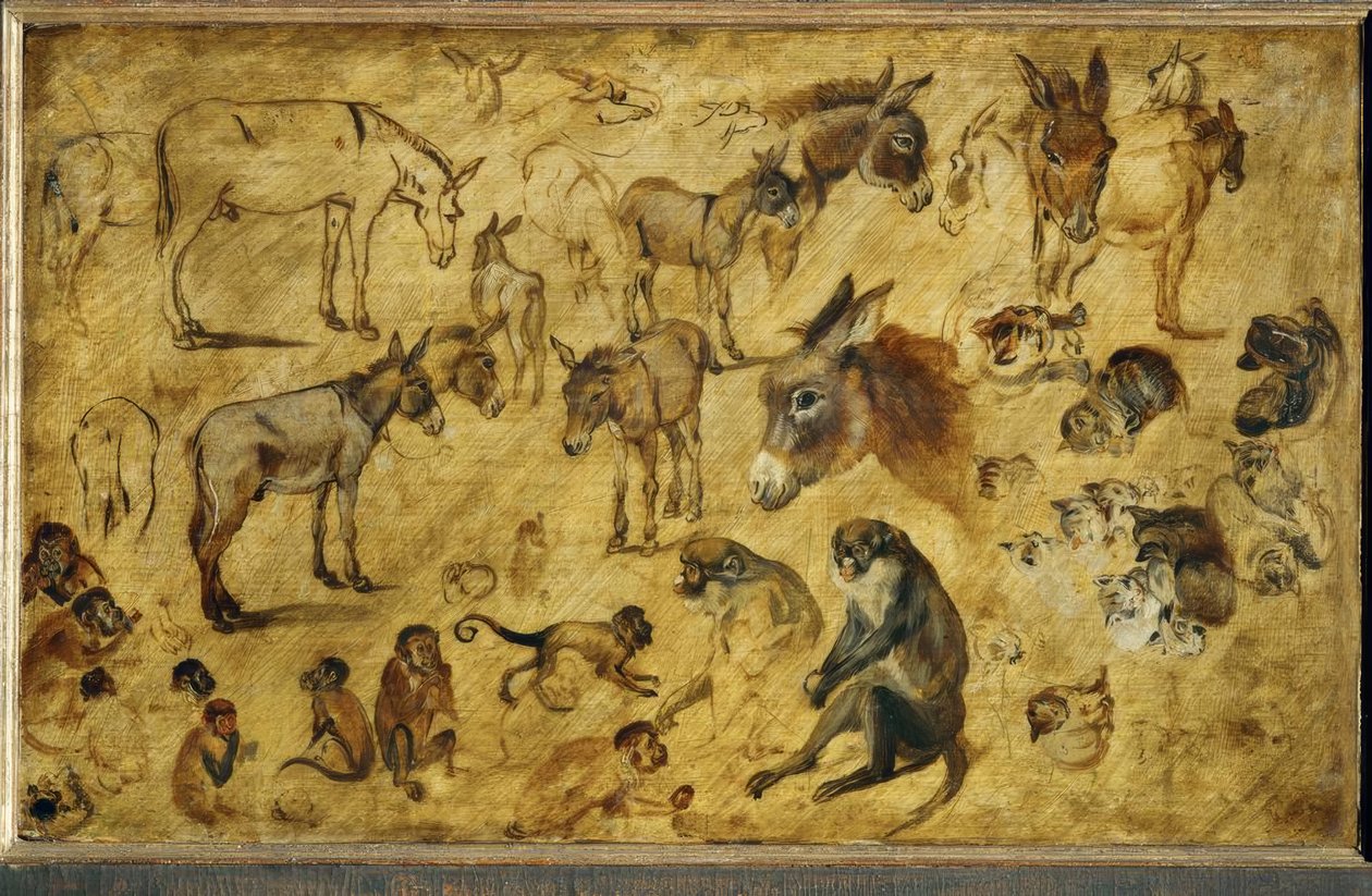 Tierstudien av Jan the Elder Brueghel