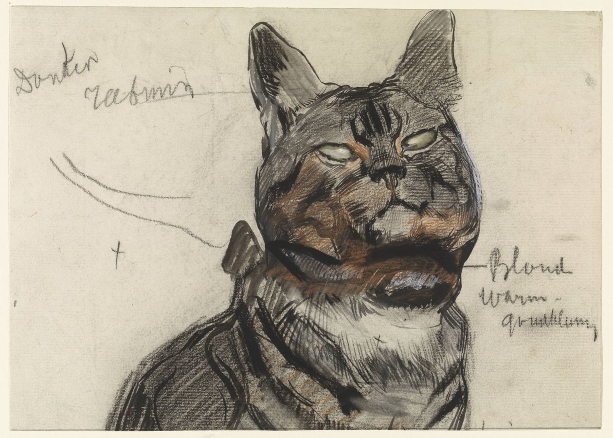 Katt, med färgnoter av Jan van Essen