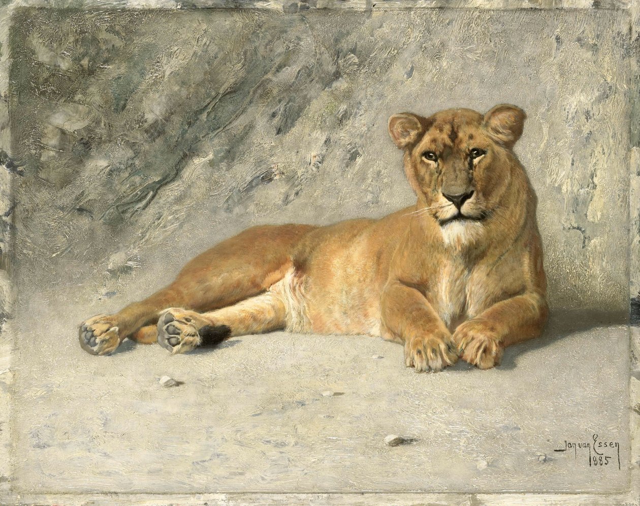 Lejoninnan vilar av Jan van Essen