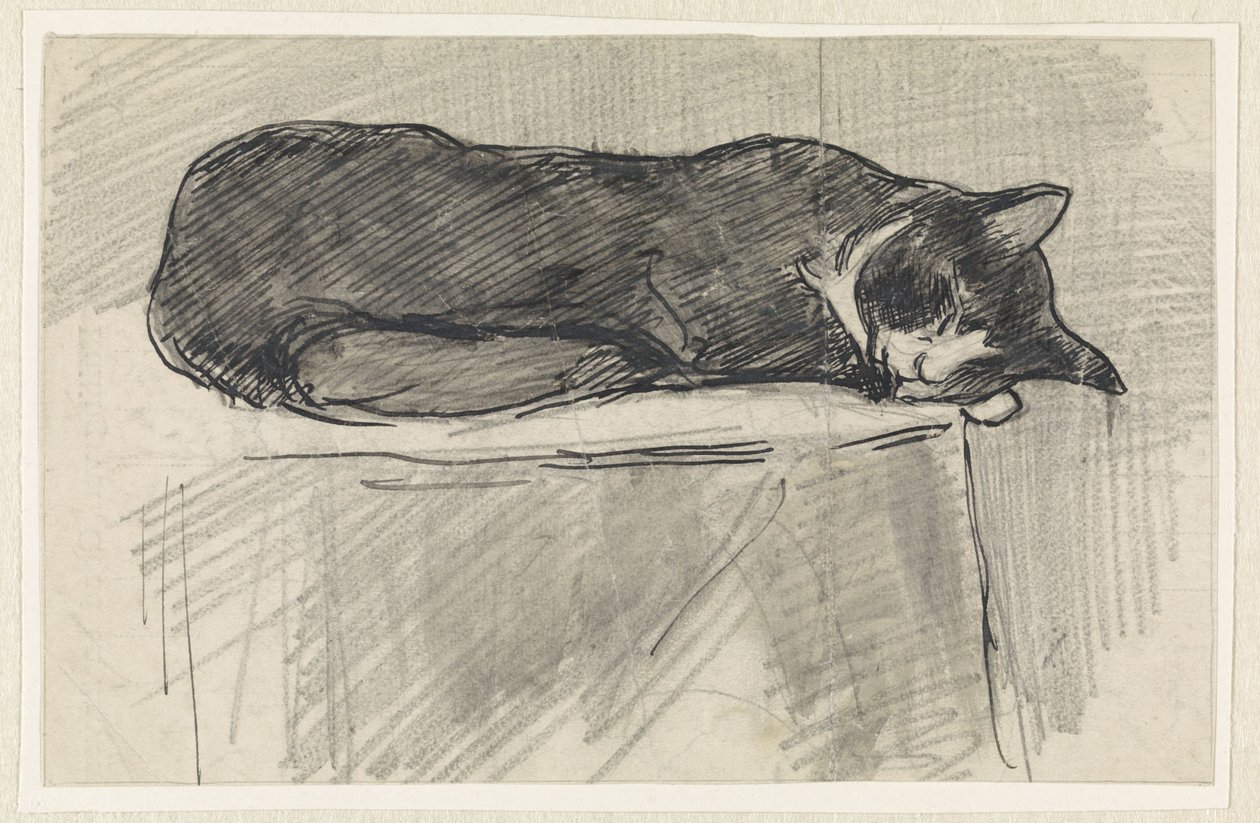 Sovande katt av Jan van Essen