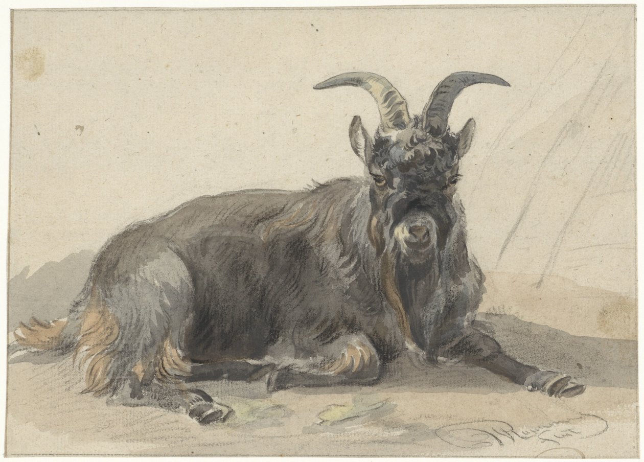 Liggande svart get av Jan van Ravenswaay
