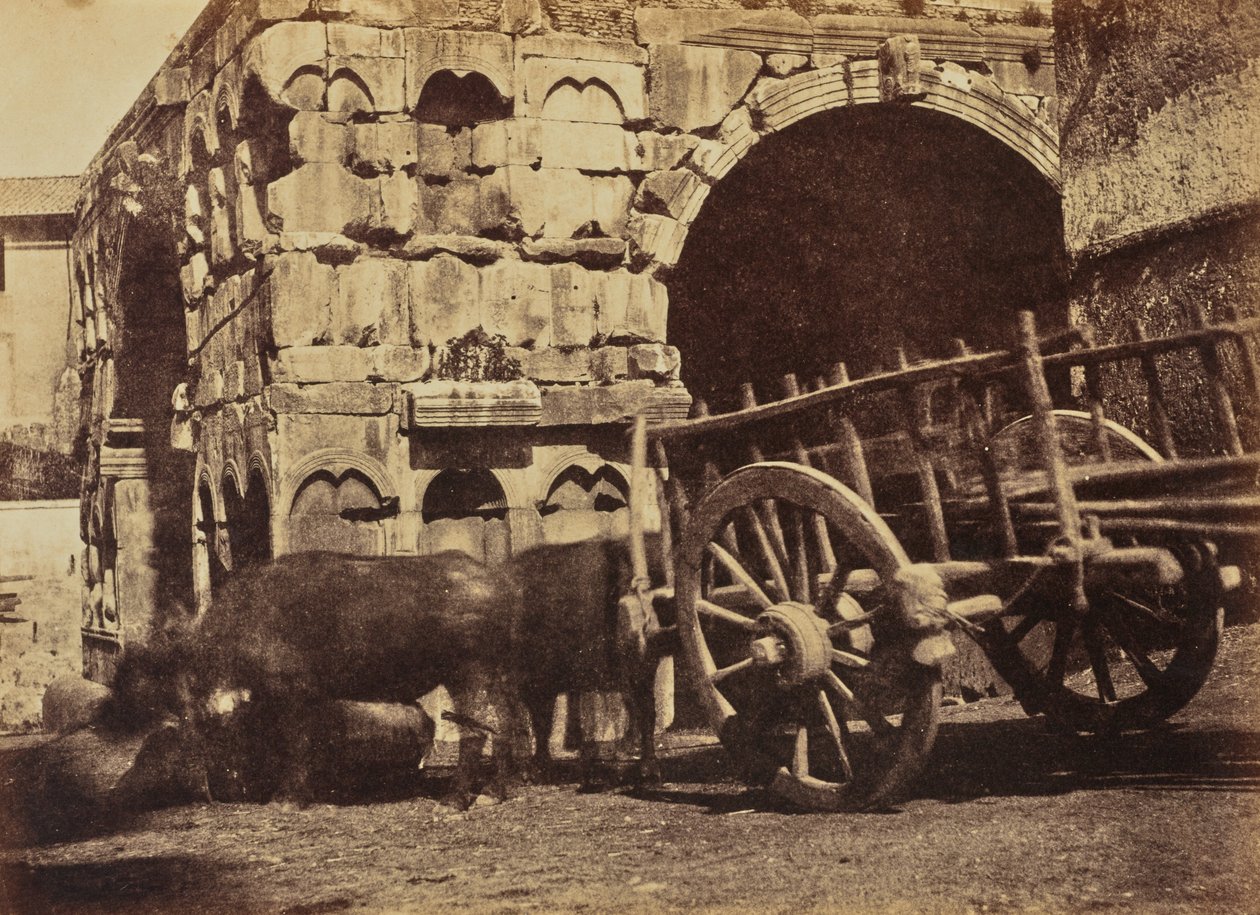 Buffalo Cart, Rom av Jane Martha St. John
