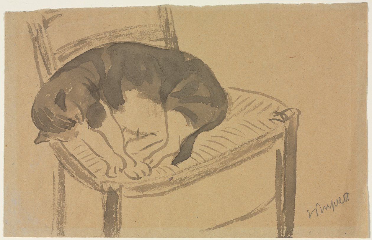 Sovande katt (recto) av Jane Poupelet