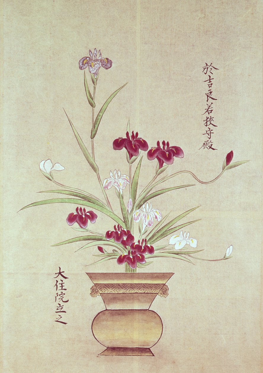 fatu o Orchids av Japanese School
