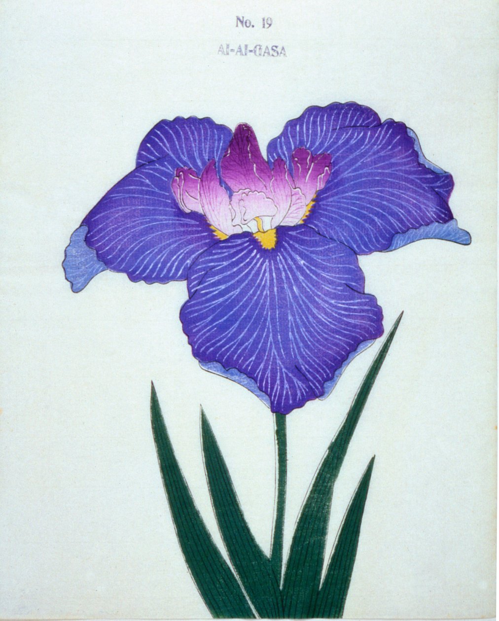 Al-Al-Gasa, nr 19, 1898 av Japanese School