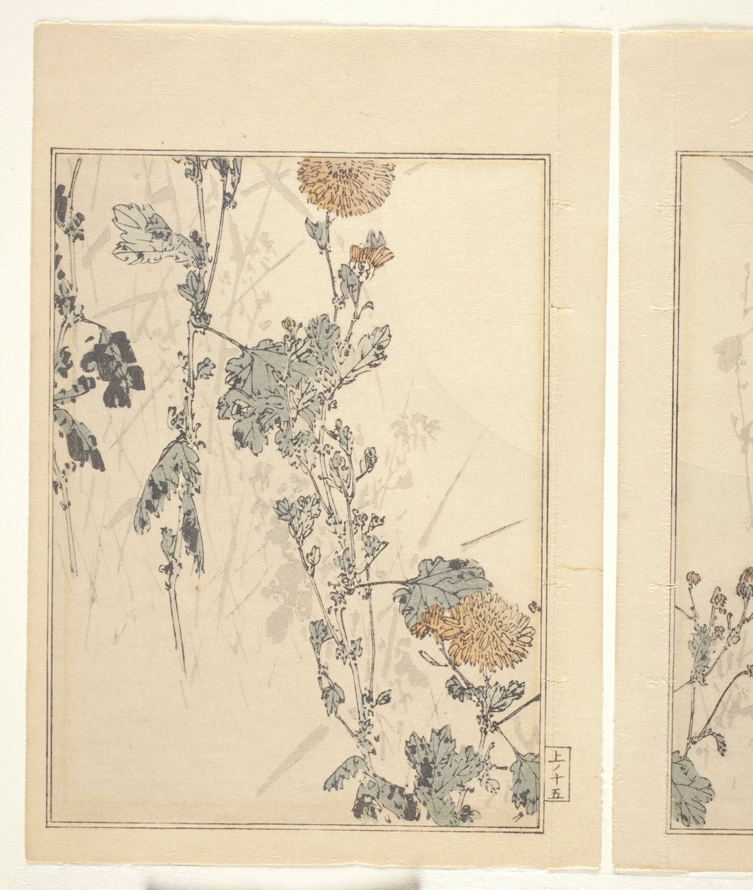Krysantemum (träblock i färg) (se även 374401) av Japanese School