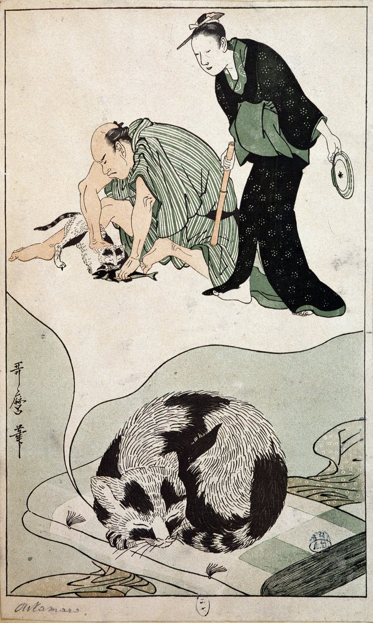Dreaming Cat - Japan av Japanese School