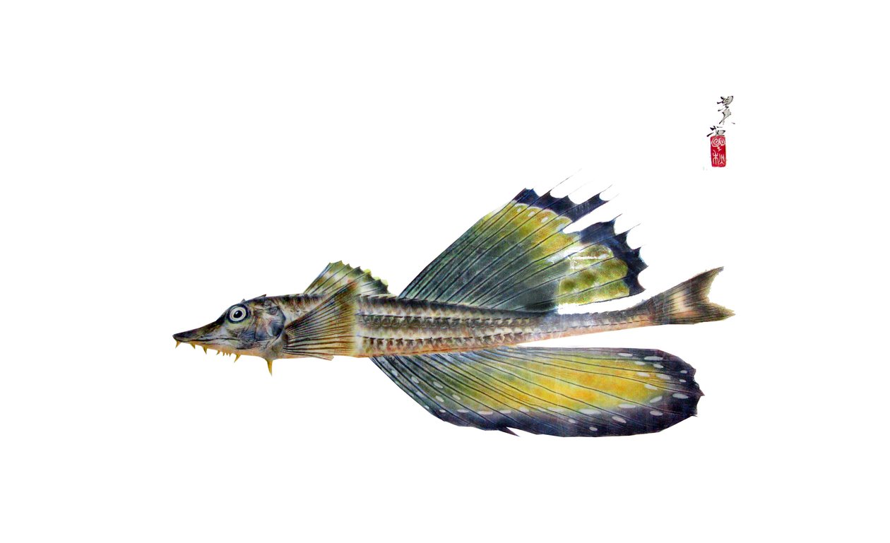 Megalodon av Japanese School
