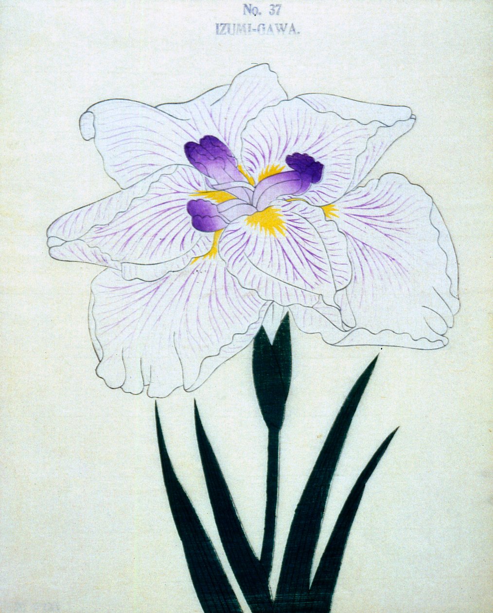 På Izumi-sidan. 37, 1898 av Japanese School