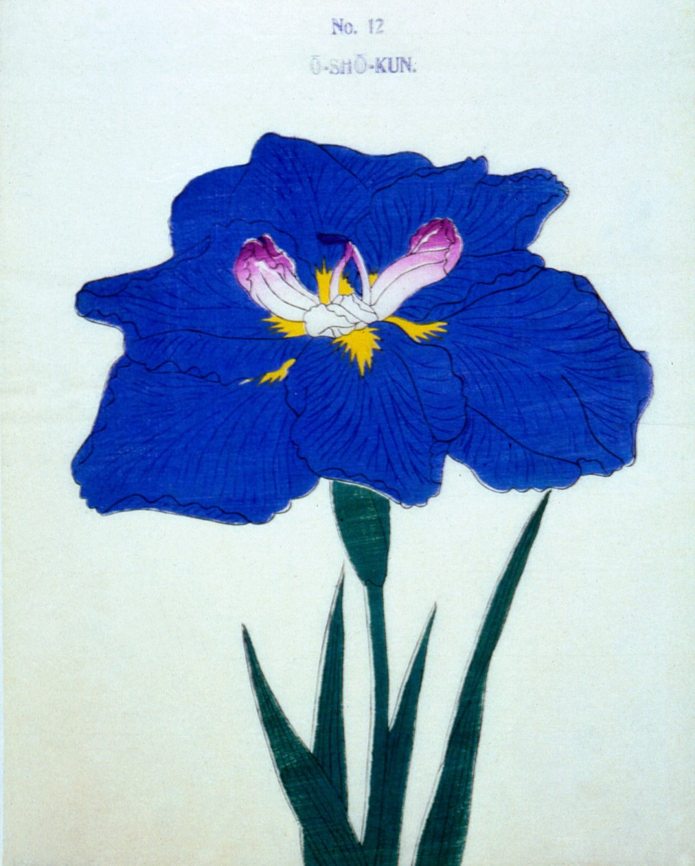 Osho-kun. 12, 1898 av Japanese School