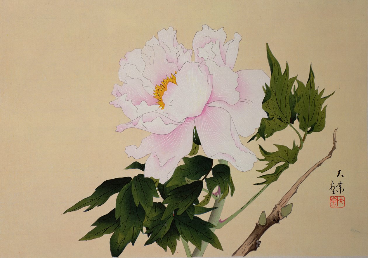Pion, pub. 1950 av Japanese School