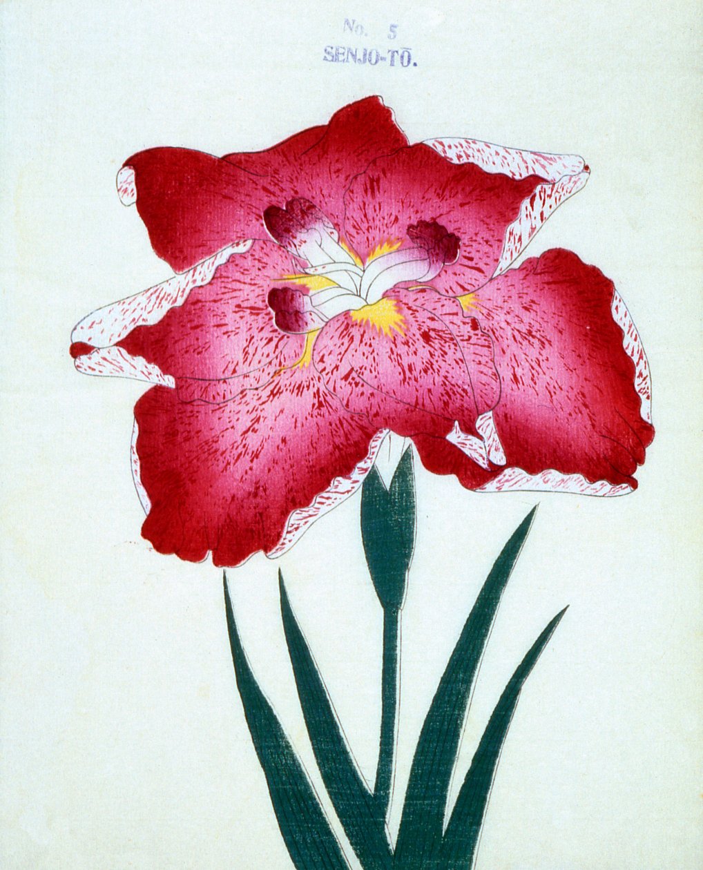 Med Senjo. 5, 1898 av Japanese School
