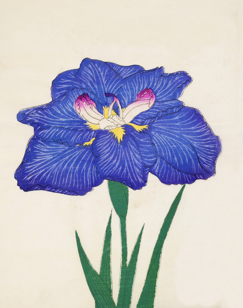 Cigarrer. -Tillbaka våg, av. 3, 1898 av Japanese School