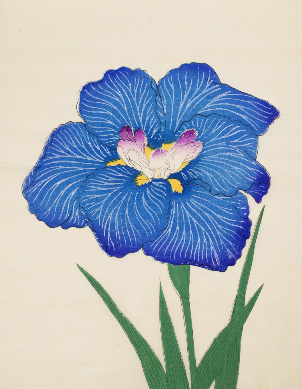 Ko Ono. -Rök. 47, 1898 av Japanese School