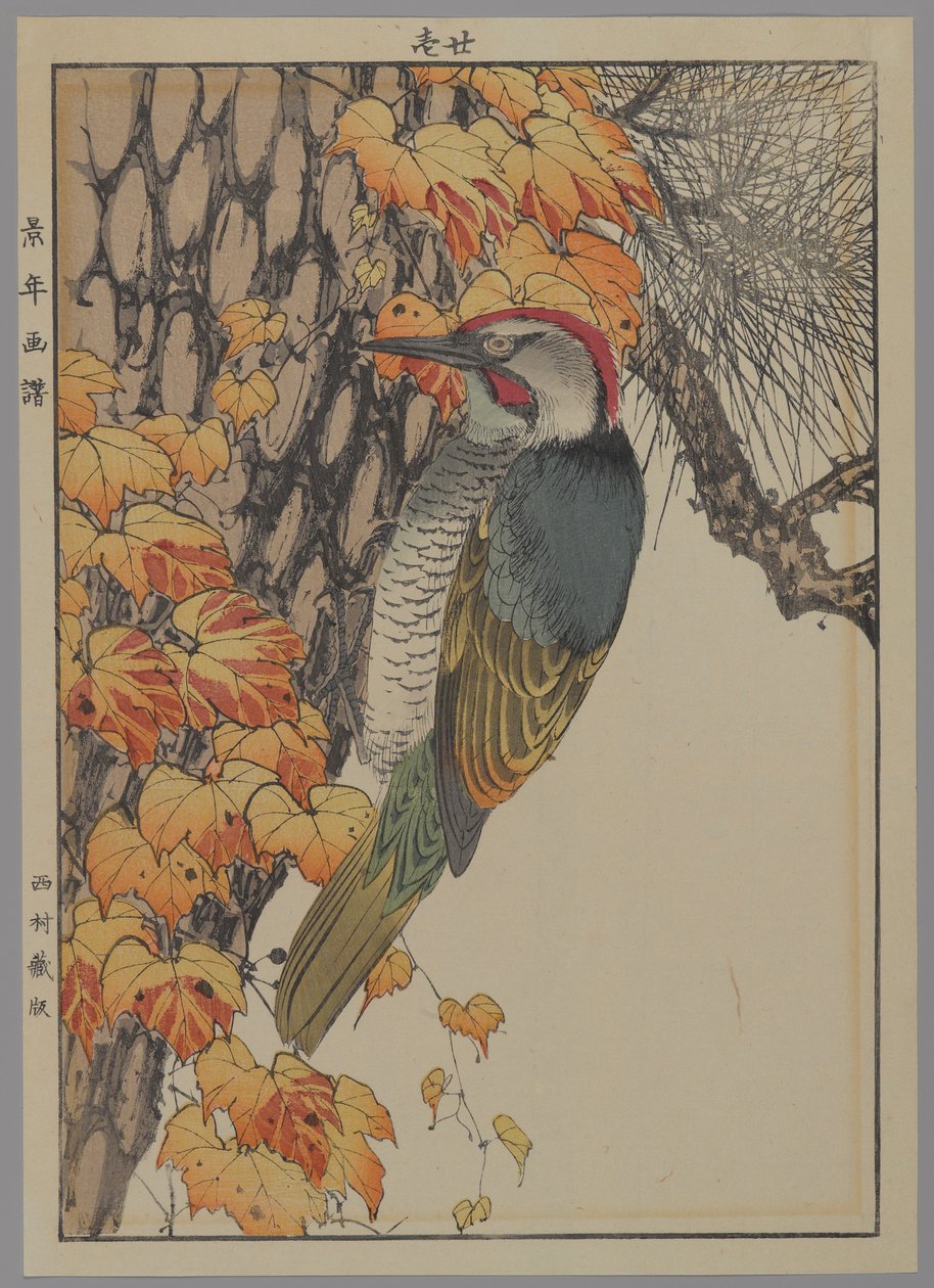 Hackspett, 1892 (träblock i färg) av Japanese School