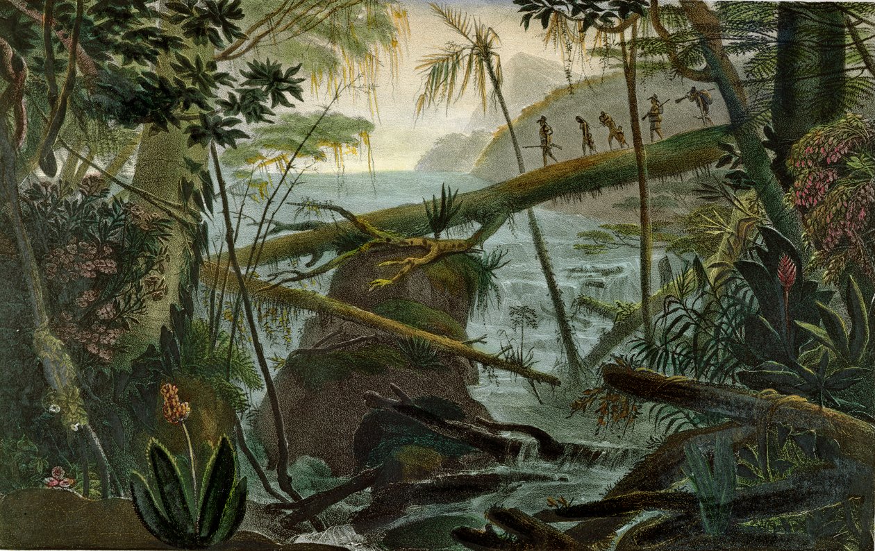 Indianer som använder en fallen trädstam för att korsa Rio Paraiba do Sul, illustration från "Voyage Pittoresque et Historique au Bresil" av Jean-Baptiste Debret (1768-1848), publicerad i Paris, 1839 (färg av Jean Baptiste Debret