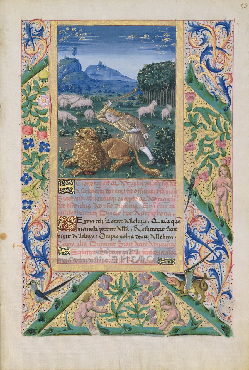Lat. Q.v.I.126 f.53 David som försvarar sin fars får mot ett lejon, från Louis d