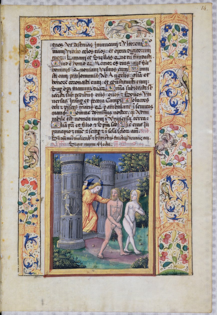 Ms Lat. Q.v.I.126 fol.14 Utvisning från Edens lustgård, ur 