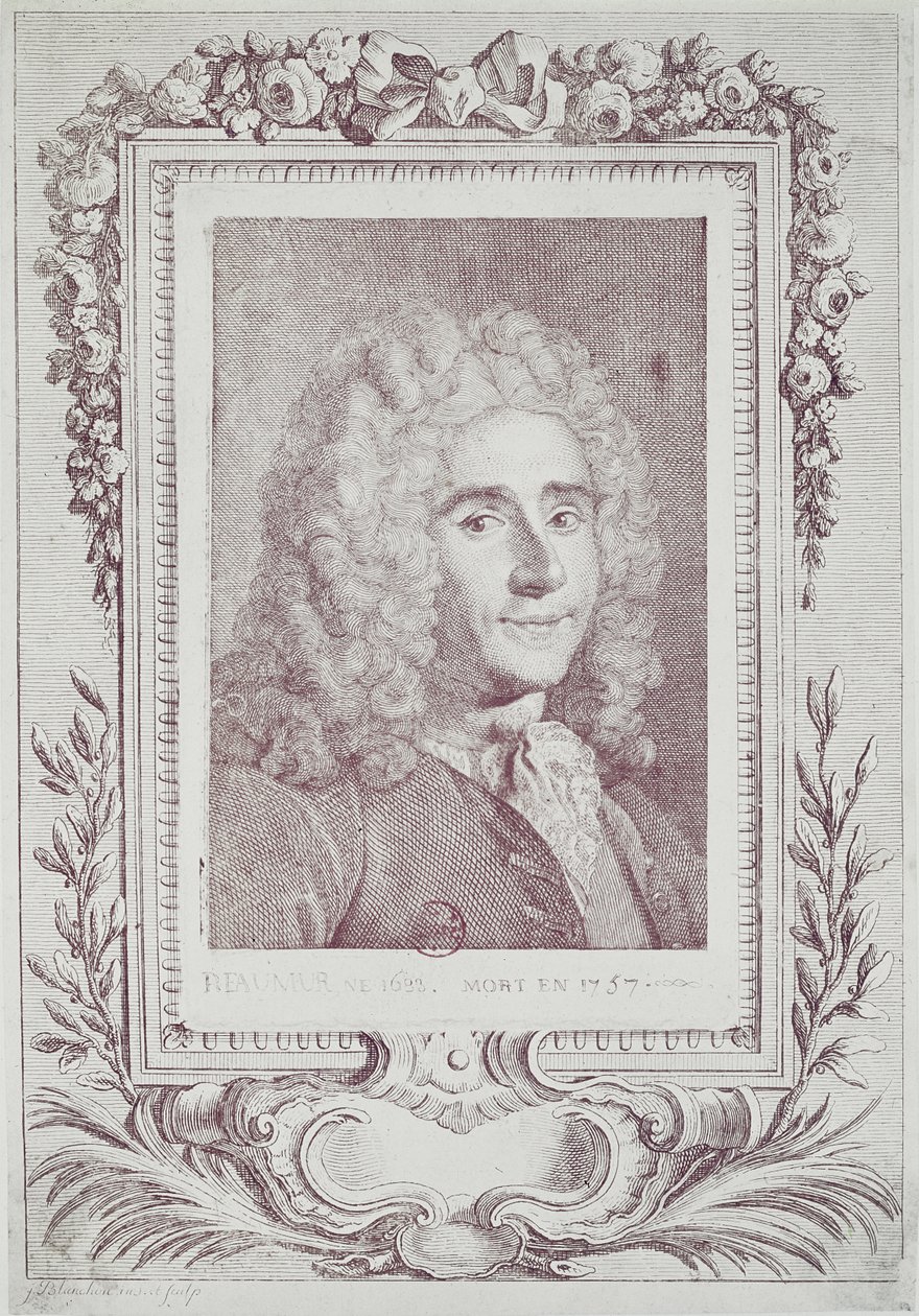 Rene Antoine Ferchault de Reaumur (1683-1757) av Jean Guillaume Blanchon