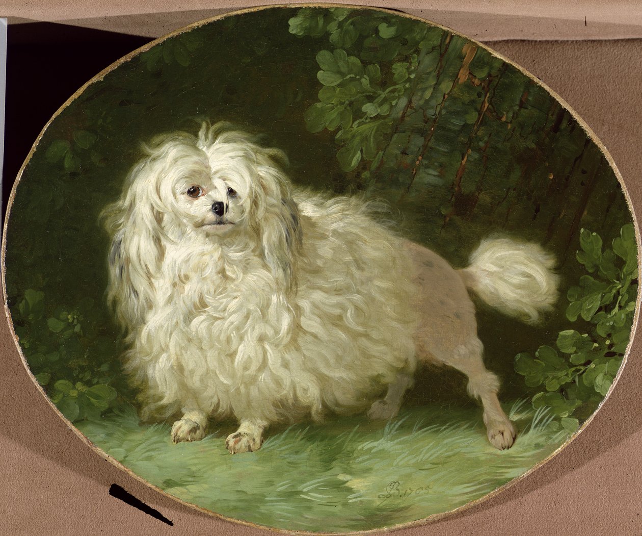 Porträtt av en pudel av Jean Jacques Bachelier