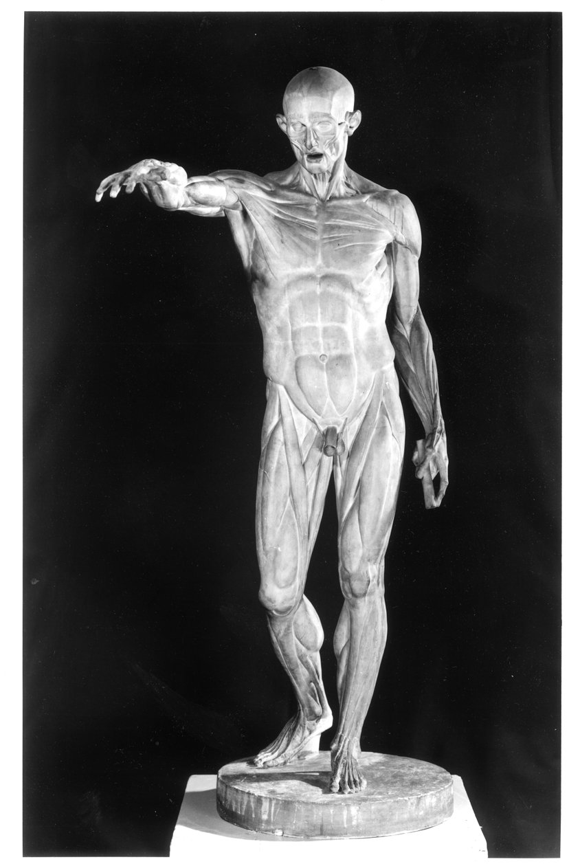 Flätad kropp (gips) av Jean Antoine Houdon