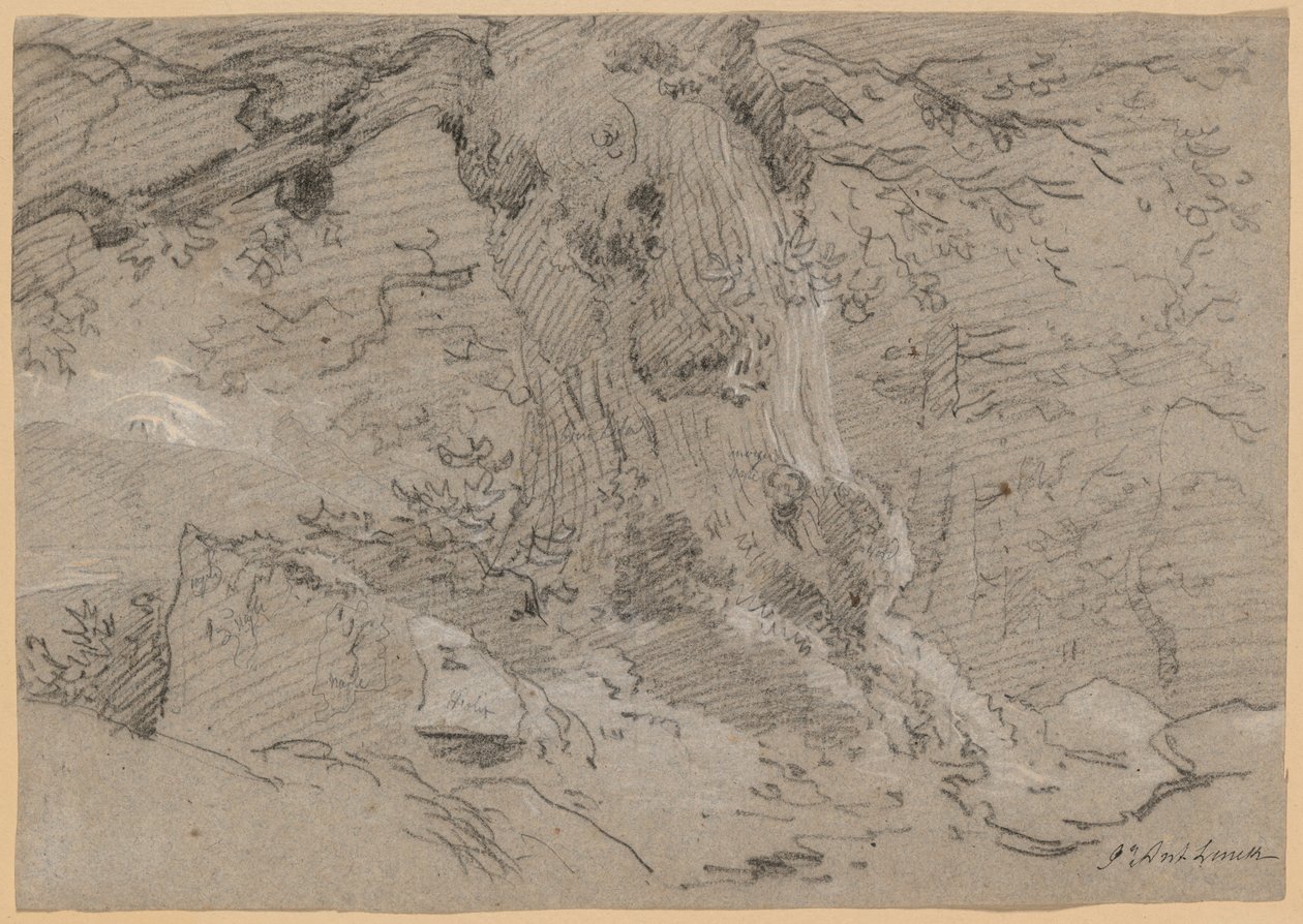 Studie av gammal trädstam av Jean Antoine Linck