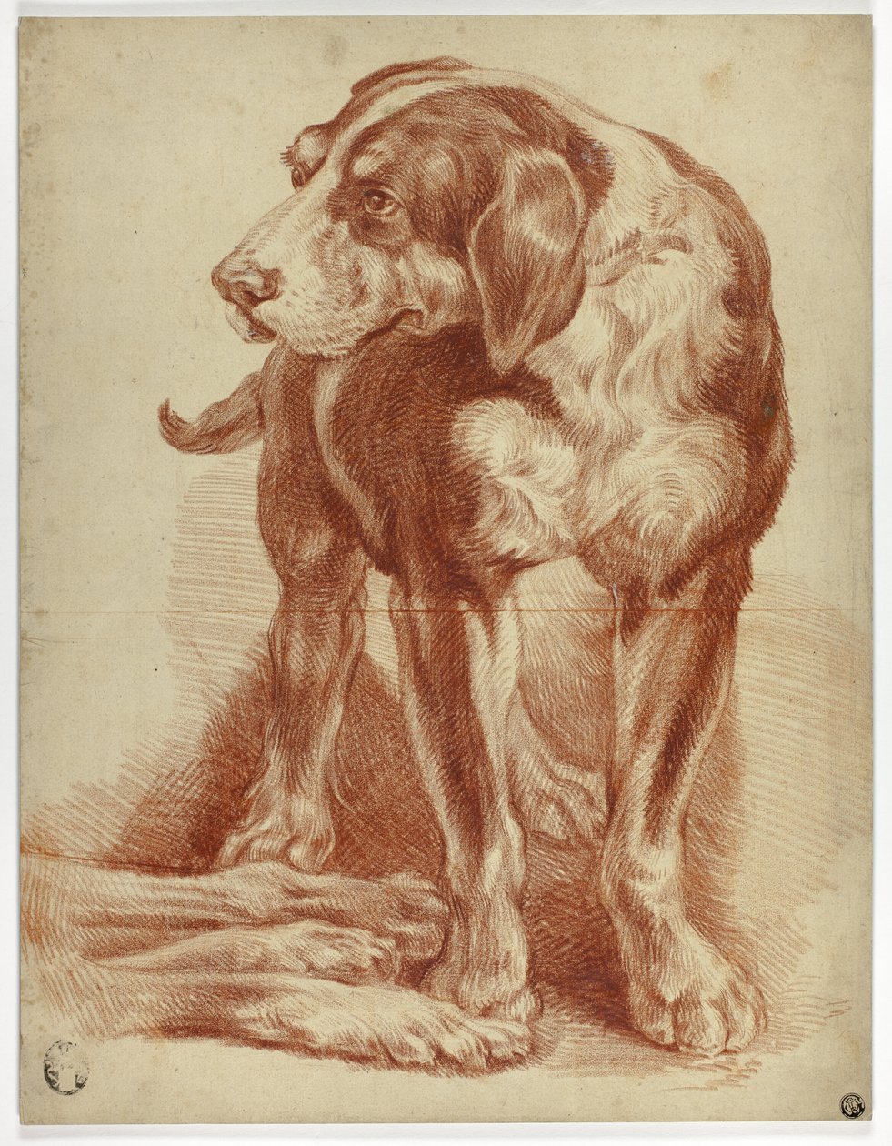 Hound stående av Jean Baptiste Huet