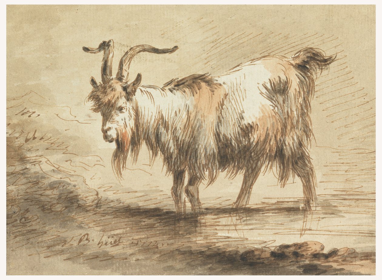 Teckning, studie av en get, 1772 av Jean Baptiste Huet