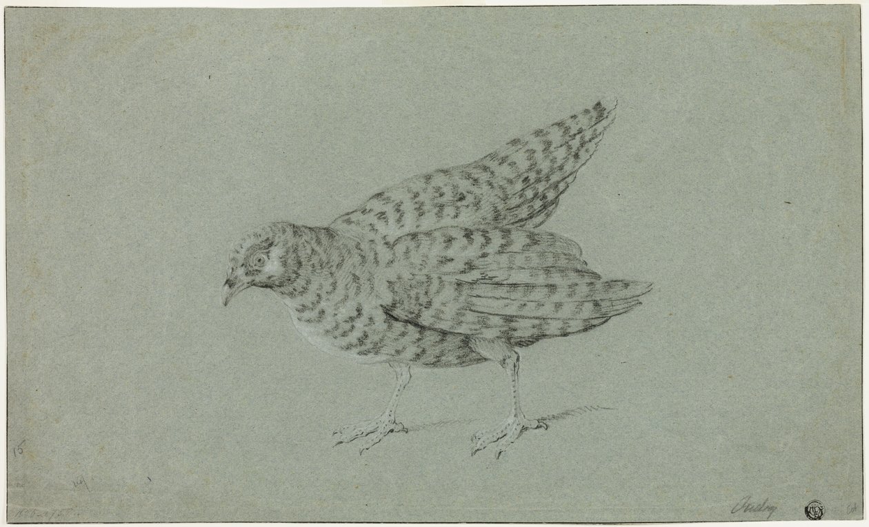 Rapphöna av Jean Baptiste Oudry