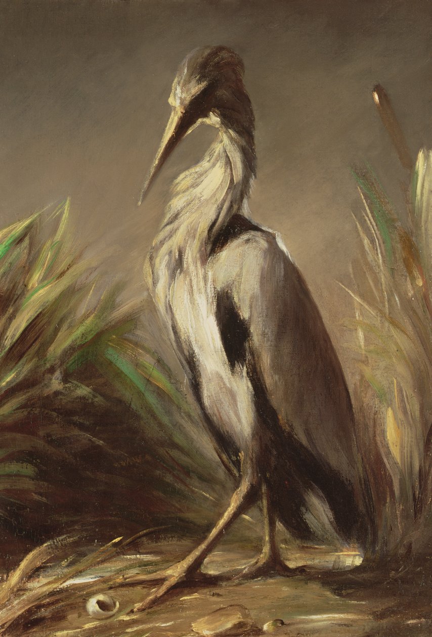 Okänd bild av Jean Baptiste Oudry