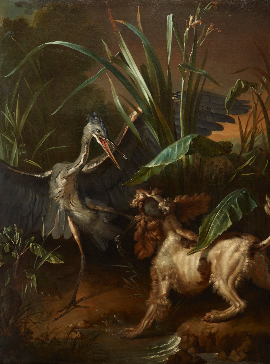 Vattenspaniel konfronterar en häger av Jean Baptiste Oudry