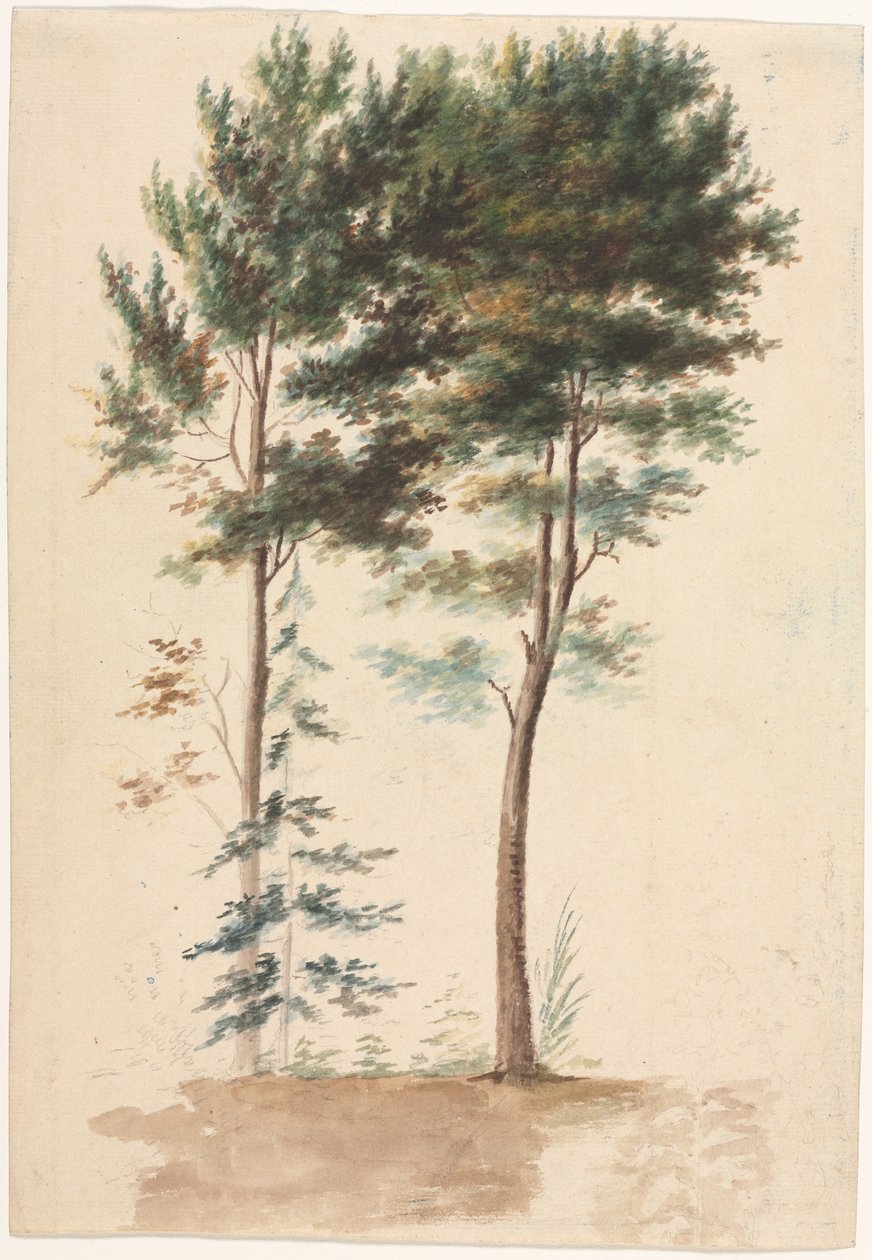 Träd, 1700-tal. av Jean Baptiste Pillement