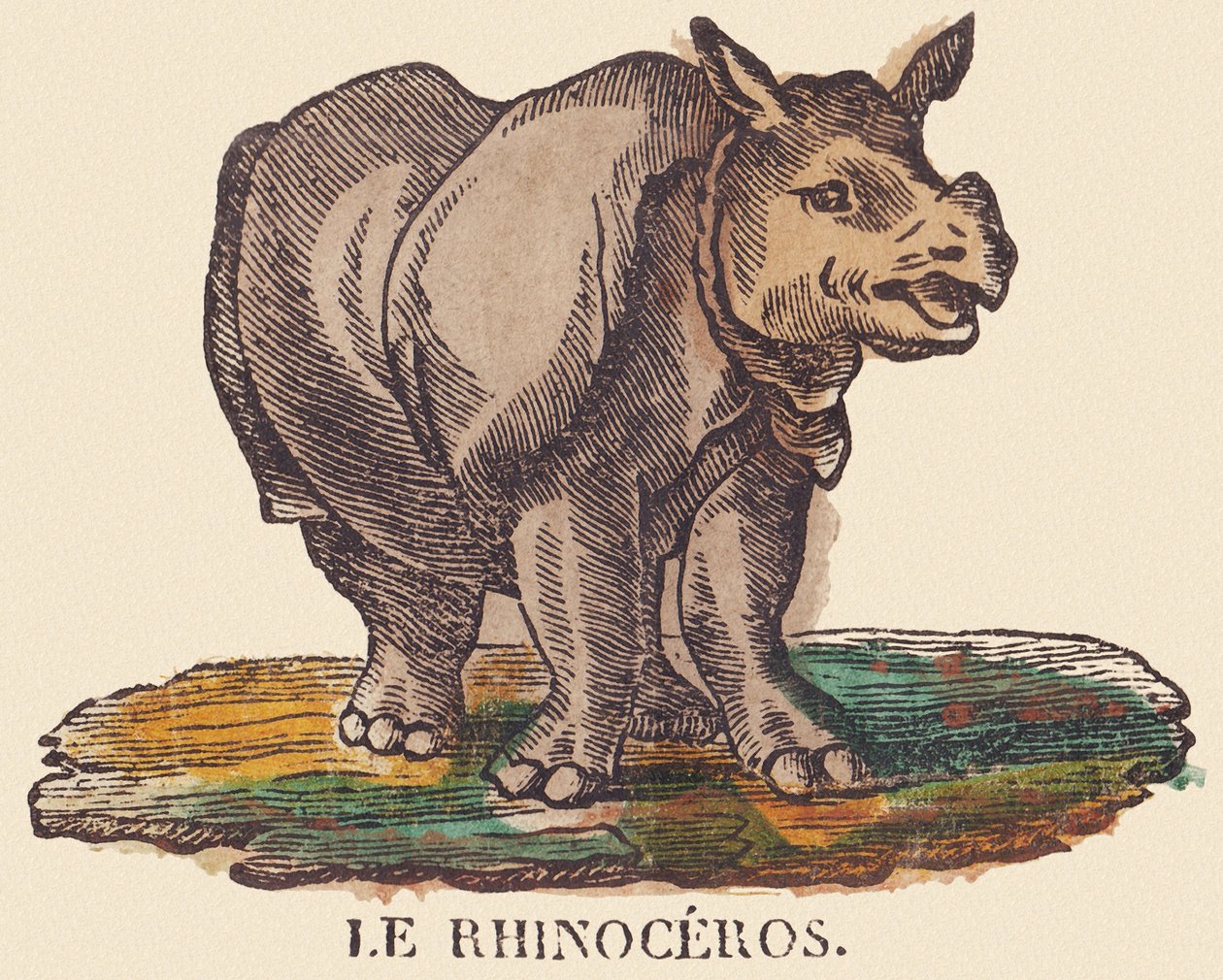 Noshörningen, ca 1840-1852 (litografi) av Jean Baptiste Thiebault