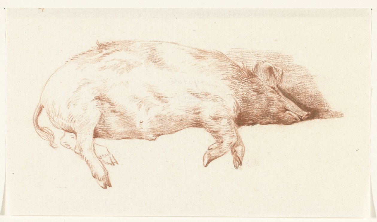 Liggande gris, till höger av Jean Bernard